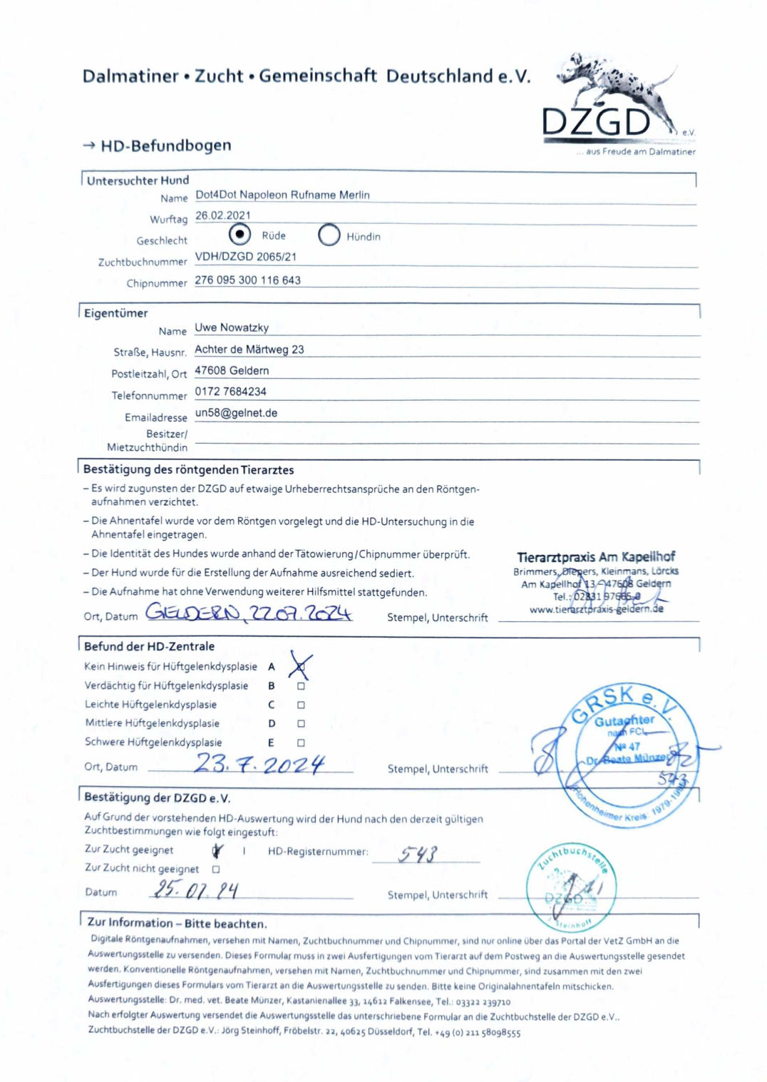 HD Befund